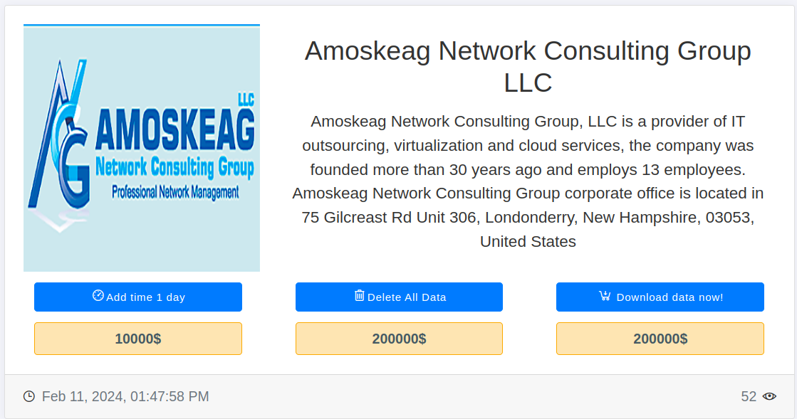 Amoskeag Network Consulting Group